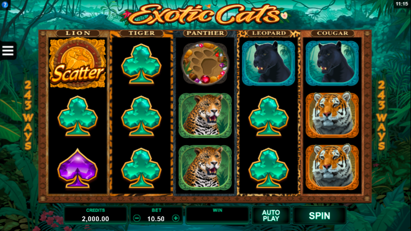 Exotic cats slot game Happyluke