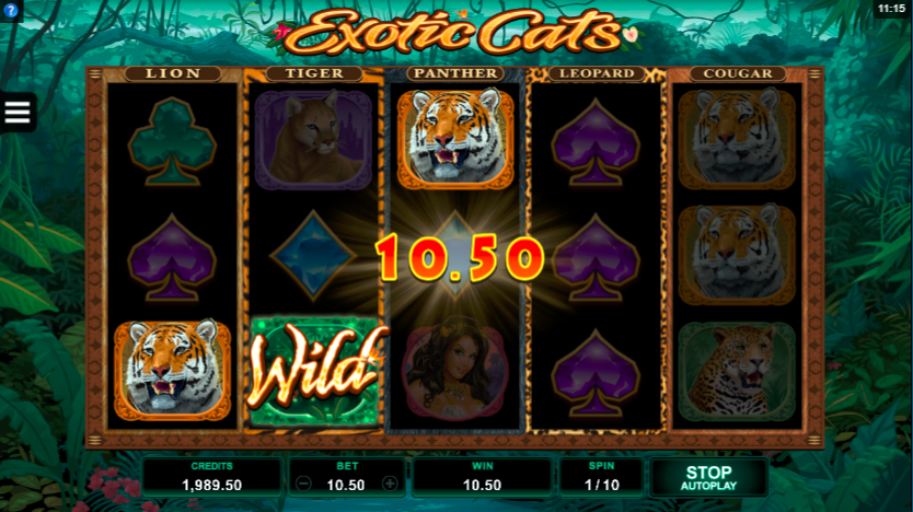 Exotic cats slot game Happyluke